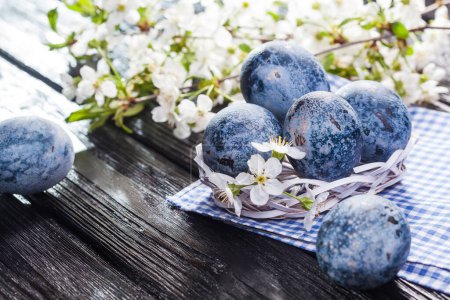 Téléchargez les photos : Oeufs de Pâques en marbre bleu dans un seau blanc avec fleur de cerisier sur la table en bois noir - en image libre de droit