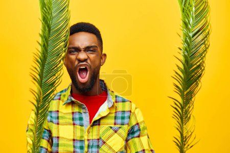 Téléchargez les photos : Homme studio américain multiethnique heureux humeur mâle couleurs mélangé arbre africain palmier élégant noir loisirs amusant adulte gars jaune émotion tropical peau mode - en image libre de droit