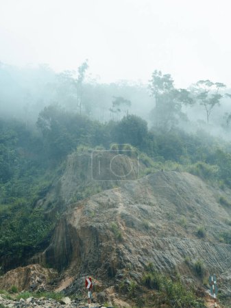 Foto de Serenidad mística: Un paisaje de montaña brumoso abrazado por el frondoso dosel de la selva tropical - Imagen libre de derechos