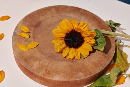 Téléchargez les photos : Tournesol fleurit dans un tableau en bois rustique : un arrangement floral coloré et lumineux sur un fond vintage - en image libre de droit