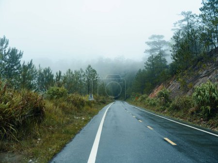 Téléchargez les photos : Voyage sinistre à travers la forêt enchanteresse d'automne : une promenade sereine sur une route pluvieuse sinueuse au milieu de paysages montagneux brumeux - en image libre de droit