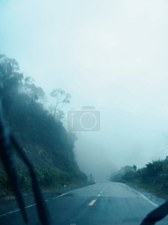 Téléchargez les photos : Tranquille brume : un voyage serein à travers la forêt d'automne brumeuse par un matin froid - en image libre de droit