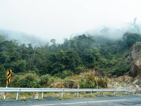 Foto de Montañas brumosas: un viaje tranquilo a través de la nebulosa selva tropical. - Imagen libre de derechos