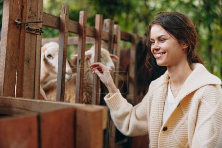 Téléchargez les photos : Une femme caresse un mouton à travers une clôture devant une clôture en bois - en image libre de droit
