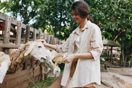Photo for A woman in a white shirt petting a sheep in a pen on a farm - Royalty Free Image