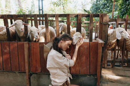 Téléchargez les photos : Une femme caresse un mouton dans un enclos avec d'autres moutons en arrière-plan - en image libre de droit