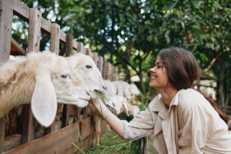 Téléchargez les photos : Une femme caressant un mouton dans un enclos avec une clôture en arrière-plan et des arbres en arrière-plan - en image libre de droit