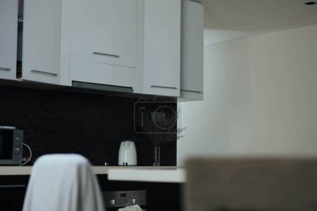 Téléchargez les photos : Intérieur de cuisine monochrome avec des armoires blanches élégantes et un comptoir noir contrasté dans un concept de design moderne - en image libre de droit