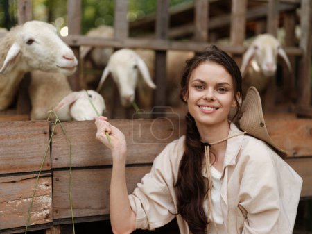 Foto de Una mujer acaricia a una oveja mientras está sentada frente a una valla de madera con una oveja en el fondo - Imagen libre de derechos