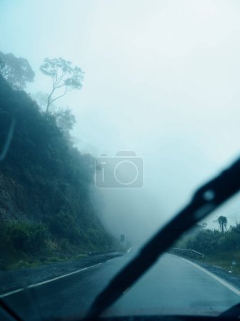 Foto de Viaje a través de la niebla encantadora: un cautivador viaje por carretera hacia el bosque brumoso - Imagen libre de derechos
