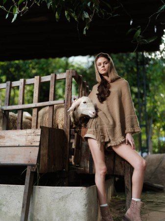 Photo for A woman sitting on a wooden bench with a sheep in front of her - Royalty Free Image