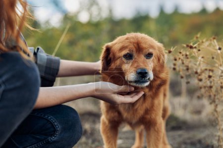 Calm and serene woman bonding with a playful golden retriever in a picturesque rural field landscape