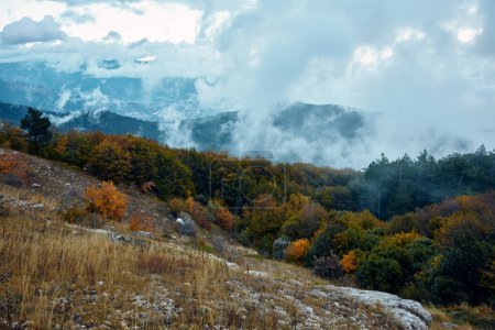 Téléchargez les photos : Chaîne de montagnes panoramique avec silhouettes d'arbres, verdure luxuriante, ciel nuageux et paysage naturel serein - en image libre de droit