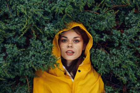 Photo for Young woman in a yellow raincoat hiding behind evergreen trees in a tranquil forest setting - Royalty Free Image