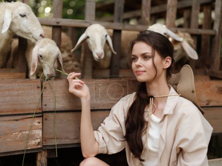 Foto de Una mujer está sentada frente a una valla de madera con ovejas delante de ella - Imagen libre de derechos