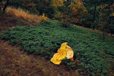 Lone traveler in a bright yellow raincoat enjoying the serene beauty of the forest on a hilltop retreat