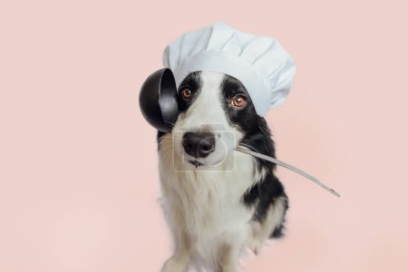 Funny puppy dog border collie in chef cooking hat holding kitchen spoon ladle in mouth isolated on pink background. Chef dog cooking dinner. Homemade food restaurant menu concept. Cooking process