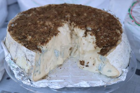 Photo for Soft cheese cheese gorgonzola with truffle - Royalty Free Image