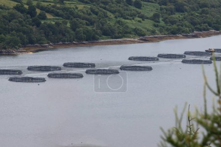 Téléchargez les photos : Salmoniculture en Écosse - en image libre de droit