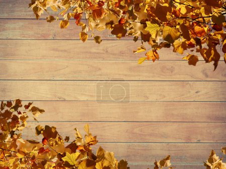 Fall foliage scattered on a rustic wooden plank backdrop, suggesting gardening themes