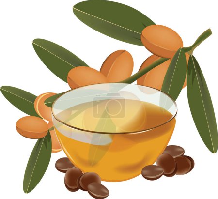 Illustration for Argan-oil in the cup is fruit - Royalty Free Image
