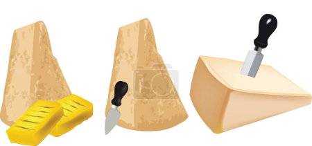 Illustration for Pieces of Parmigiano Reggiano cheese - Royalty Free Image