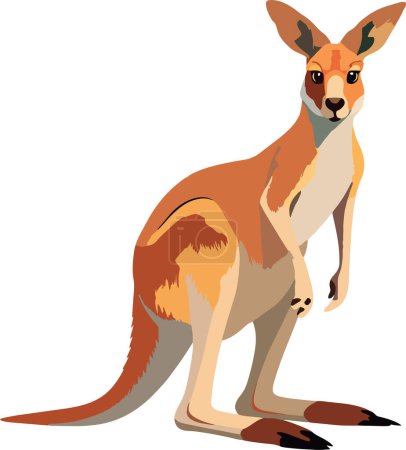Téléchargez les illustrations : Kangourou marsupial animal de l'Australie - en licence libre de droit