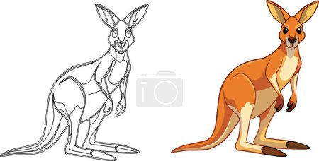 Téléchargez les illustrations : Kangourou marsupial animal de l'Australie - en licence libre de droit