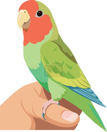 Téléchargez les illustrations : Illustration vectorielle d'une perruche vibrante assise paisiblement sur le doigt d'une personne - en licence libre de droit