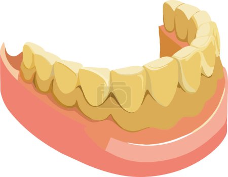 Illustration for Detailed vector image showing a lower jaw with healthy teeth, suitable for dental topics - Royalty Free Image