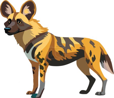 Wilder Hund Afrikanischer Wildhund-