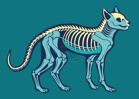 Detailed artwork of a bighorn cat skeleton on a dark background