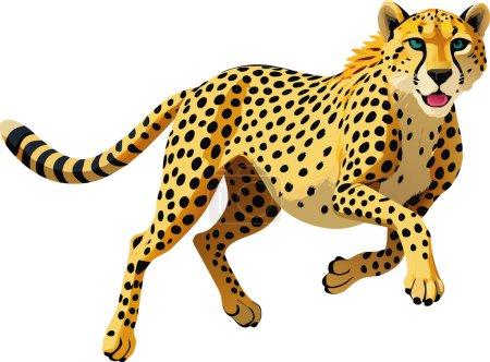 Illustration for Cheetah accelerating running carnivorous wild animal- - Royalty Free Image
