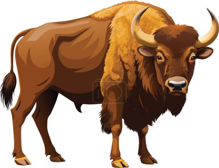 Búfalo americano visto desde el costado