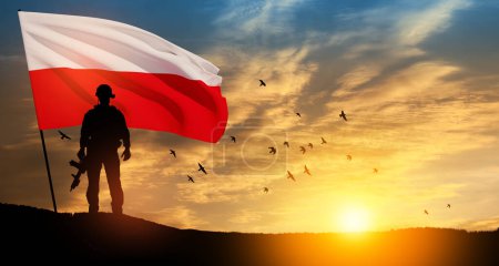 Téléchargez les photos : Silhouette of soldier with national flag on background of sunset. Polish Armed Forces. Armed Forces of the Republic of Poland. Polish army. - en image libre de droit