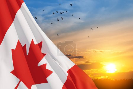 Canada national flag waving on sunset sky with flying birds. Canada day. 3d-rendering.