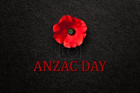 The remembrance poppy - poppy appeal. Poppy flower on black textured background with text. Decorative flower for Anzac Day in New Zealand, Australia, Canada and Great Britain.