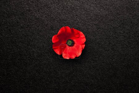 Foto de Flor de amapola sobre fondo negro texturizado. Flor decorativa para el Día del Recuerdo. Día de los Caídos. Día de los veteranos. - Imagen libre de derechos