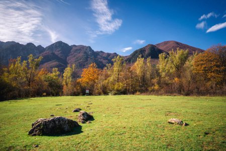 Téléchargez les photos : Feuillage d'automne coloré Parco Nazionale Abruzzes Italie. Paysage - en image libre de droit