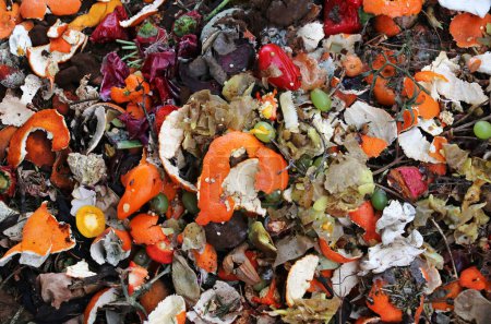 Discarded food and kitchen waste in a garbage heap
