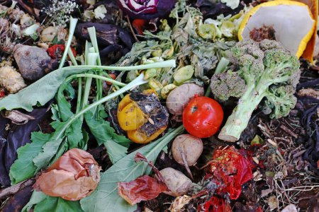 Foto de Discarded food and kitchen waste in a garbage heap - Imagen libre de derechos