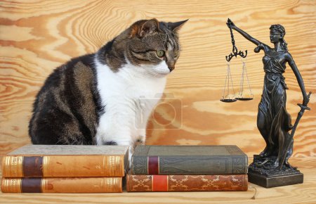 Eine Katze mit Justitia-Figur und Büchern. Rechtsprechung für Tiere