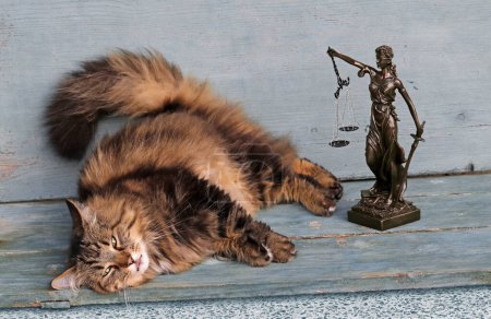 Lustiges Katzenfoto mit Justitia-Figur. Eine Katze hat das falsche Gerichtsurteil erhalten