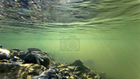 Unterwasseraufnahme vom Grund eines Flusses, wo die Sonnenstrahlen ins Wasser fallen