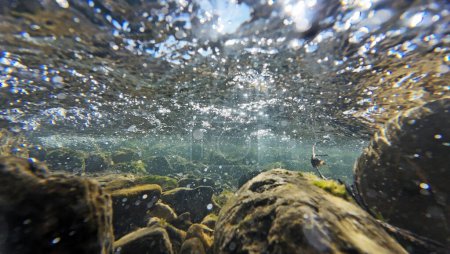 Unterwasserbild des Flussbodens mit Luftblasen in der Strömung
