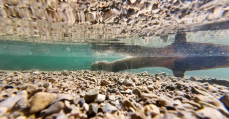 Underwater shot of clear water with tree trunk and reflection