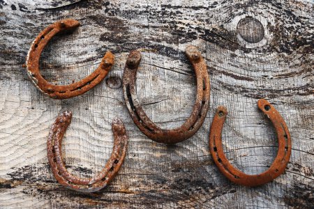 Four old rust-red horseshoes on a wooden base