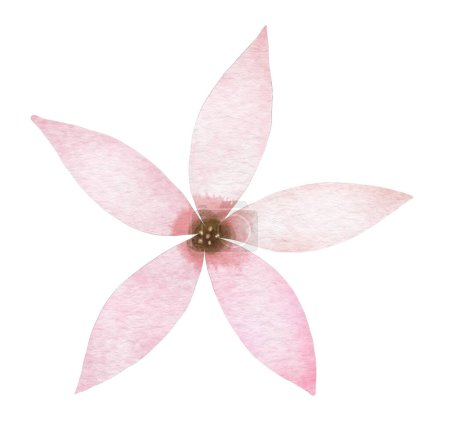 Téléchargez les photos : Fleur plante aquarelle style - en image libre de droit