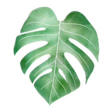 Photo for Monstera leaf watercolor style - Royalty Free Image