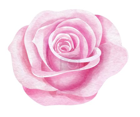 Photo for Rose flower watercolor style - Royalty Free Image